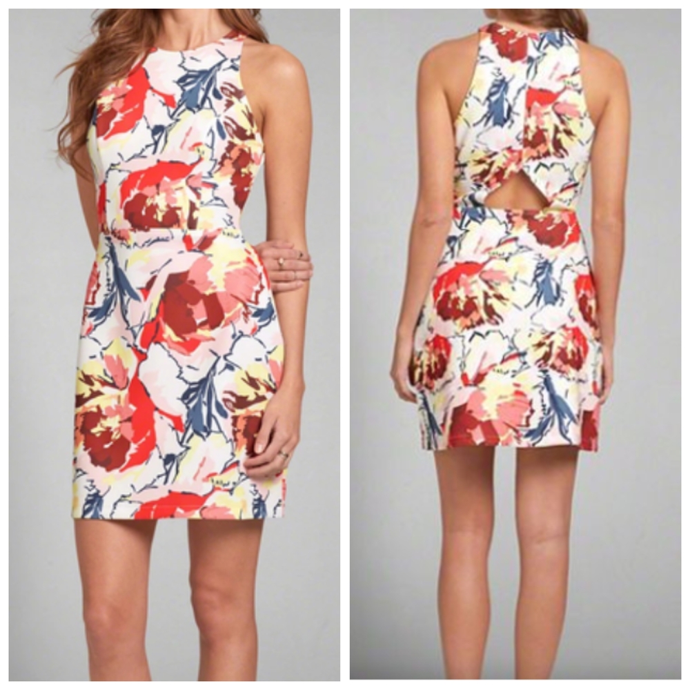 Abercrombie & Fitch Backless Floral Dress - Red and Blue
